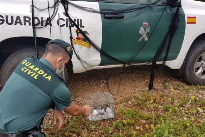 Un agente de la Guardia Civil con la red japonesa y los pájaros.