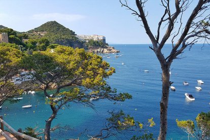 El sisnistres ha tenido lugar en una cala de Begur.