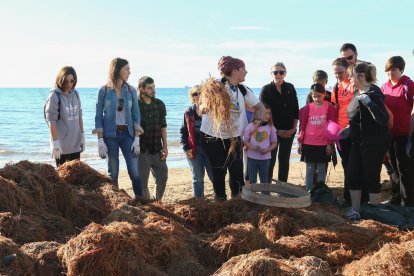 La correhuela es una planta del fondo marino y «es alimento de otras plantas y la estructura a partir de la cual nace la duna», según Guerra.