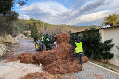 treballs de neteja del accés a platja Tamarit.