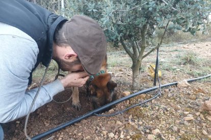 Juan Magaña i el seu gos Ken treballant una tòfona.