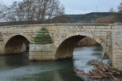 El río Carrión a su paso por Husillos.