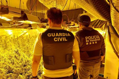 La Guardia Civil y la Policía Local del Vendrell colaboraron en el operativo.