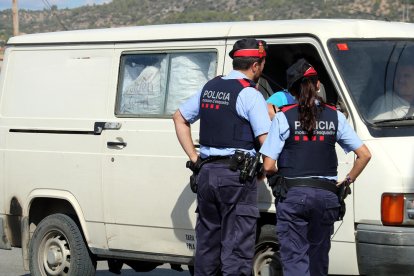 Dos agentes de los Mossos d'Esquadra comprobando la procedencia de sacos de algarrobas que llevan|traen a dos agricultores.