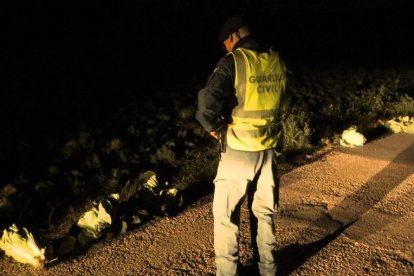 Imatge de la troballa dels agents de la Guàrdia Civil.