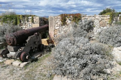 Las hierbas rodean los cañones localizados en diferentes espacios del Paseo Arqueológico.