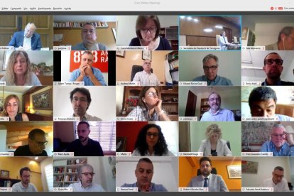 El ple virtual celebrat a la Diputació de Tarragona.