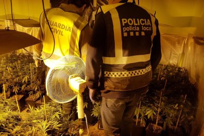 Agentes de la Guardia Civil y la Policía Local en el domicilio donde se han localizado las plantas.