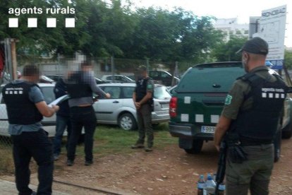 La infracción podría constituir un delito penal.