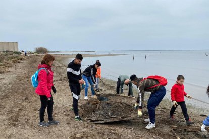 Voluntarios recogiendo basura|maleza después de la llevantada en la costa de la bahía de los Alfaques.