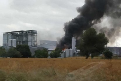 La nave afectada está situada en la parcela 50 de la zona industrial.