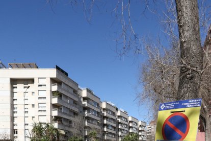 Un cartell de prohibició temporal d'estacionament.