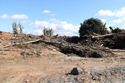 Els aiguats del passat octubre van deixar malmesa la zona de la llera del riu.