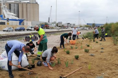 Imatge de la plantada organitzada avui divendres.