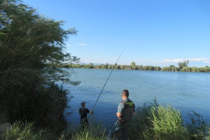 El Seprona va fer més d'un centenar d'identificacions de pescadors.