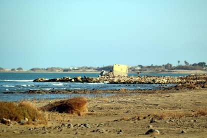 Una barraca, malmesa pel temporal Gloria, propera als camps d'arròs inundats amb aigua del mar de l'arrossaire Jordi Margalef a Deltebre (Baix Ebre)