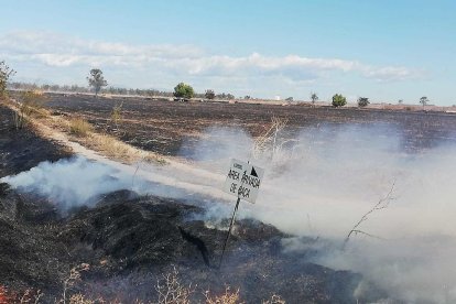 Quatre dotacions s'han encarregat d'apagar el foc i ara s'investiguen les possibles causes que l'han originat