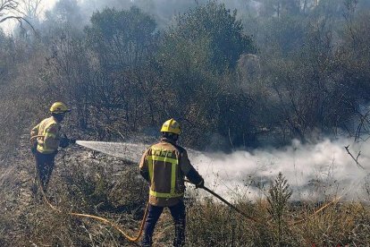 Imagen de archivo de dos bomberos trabajando en un fuego de vegetación.