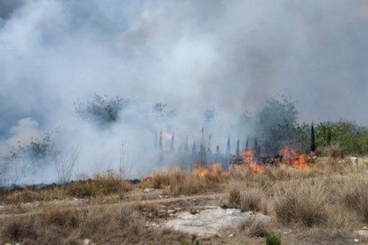 Imatge de les flames de l'incendi.