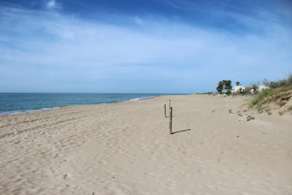 Imatge d'arxiu de la platja de Creixell.