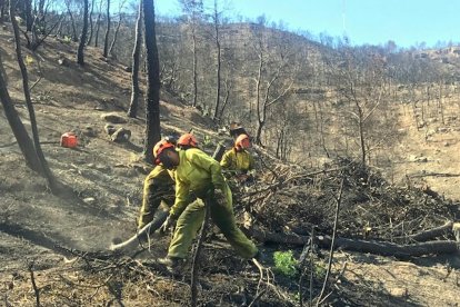 Trabajos forestales realizados en las zonas afectadas por el incendio de la Ribera de Ebro.