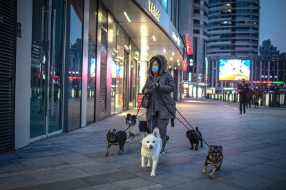 Una dona amb mascareta passejant gossos a la ciutat de Beijing, a la Xina.