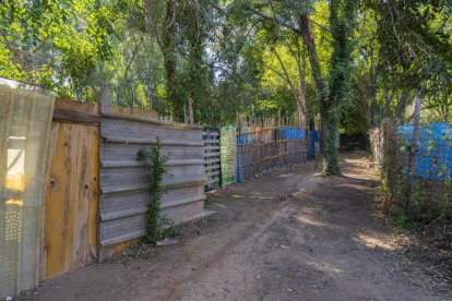 El número de huertos que se acumulan en un espacio localizado próximo al pabellón de Río Clar crece de manera desordenada.