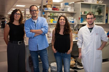 Equipo de investigación|búsqueda que ha descubierto un nuevo mecanismo de defensa celular enfrente de infecciones víricas y bacterianas.