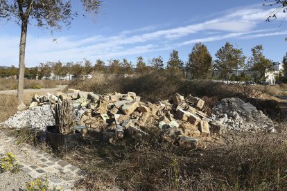 El espacio donde se tiene que ubicar el parque para familias, en el polígono AgroReus, se ha convertido en un vertedero.