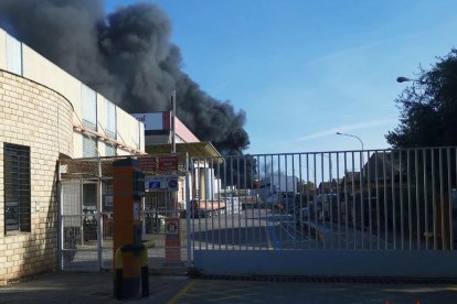 Una quinzena de dotacions han treballat des de primera hora de la tarda per extingir el foc