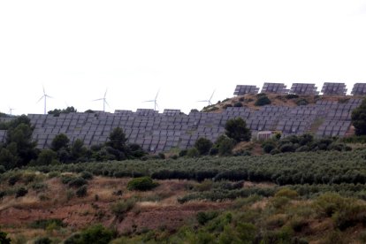 Algunas placas solares del parque de Flix con alguna aerogeneradores de un parque eólico en el fondo.