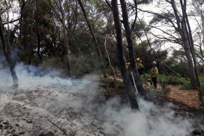 Incendi al bosc entre la platja de Móra i la cala Roca Plana