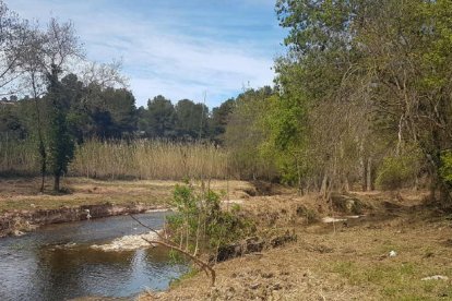 El río Gaià a su paso por Aiguamúrcia después de los trabajos.