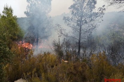 Imatge de l'incendi.