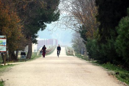 Imatge d'arxiu de la Via Verda entre Tortosa i Roquetes amb un ciclista i una vianant fent-ne ús.