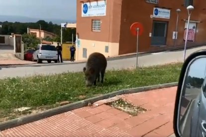 Un dels instants del vídeo que circula per les xarxes socials.