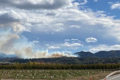 Imagen del humo originado por el incendio en Tivissa.