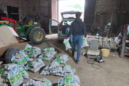 La familia cargando el producto en la furgoneta para hacer la distribución de encargos estos días.