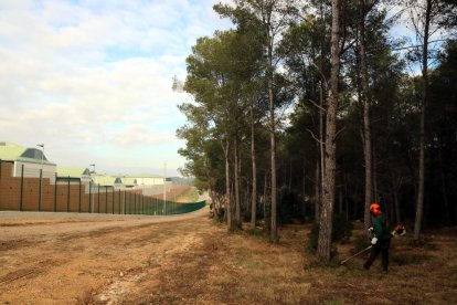 Pla general d'un operari treballant amb una desbrossadora a la forest de Mas d'Enric.