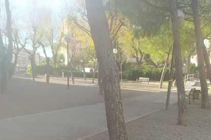 Desperdicios apilados en el parque Rodríguez de la Fuente, en la Granja.