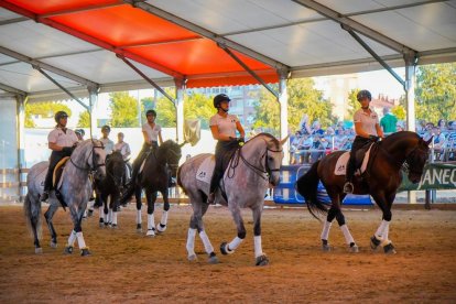 Una imagen de la última feria celebrada, el año 2019.