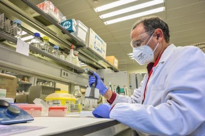 El investigador de la UPV Juan José Manclús, trabajando en el laboratorio, en una imagen facilitada por la universidad.