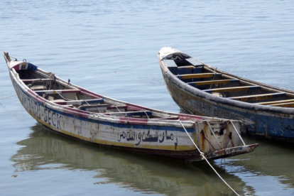 Els pescadors afectats acusen un vaixell no identificat que hauria abocat productes químics al mar.