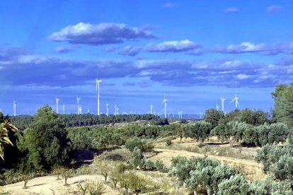 Plana alta de la Terra Alta coberta d'aerogeneradors darrere de camps d'oliveres i ametllers de la zona dels Pesells d'Horta de Sant Joan.