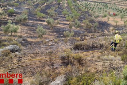 Los bomberos trabajando en la zona afectada.