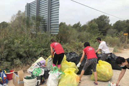 Imagen de los voluntarios trabajando en la recogida de basura.