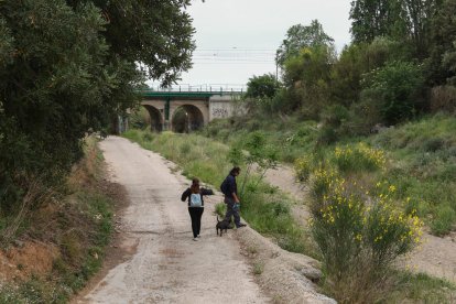 L'objectiu és desenvolupar els sistemes naturals que formen una 'v' sobre el mapa.