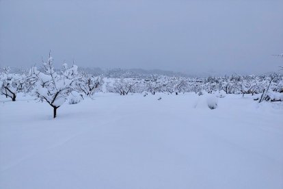 Imatge del terme d'Arnes, a la Terra Alta, amb gruixos de neu de 60 cm.