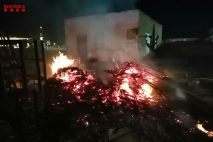 Restos de palmera ardiendo en Amposta.