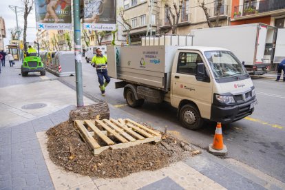 Imatge del carrer amb els arbres retirats.